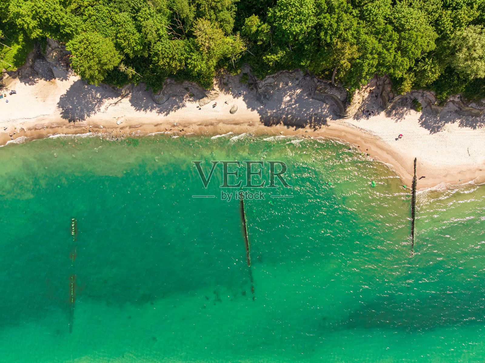 夏季波罗的海的狭窄海滩照片摄影图片