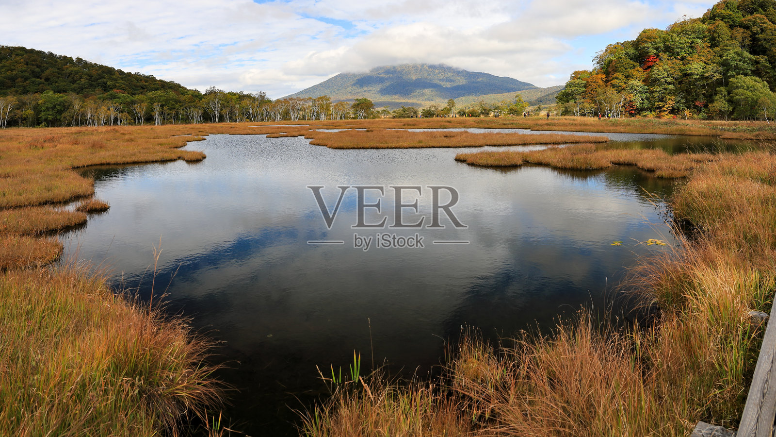 秋季红叶环绕,漫步于尾濑原和尾濑沼,日本群马县片品村照片摄影图片