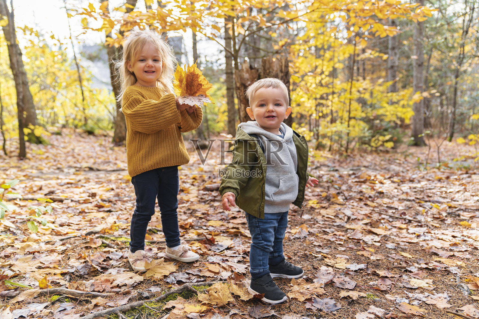 秋季,两个孩子在木头上照片摄影图片