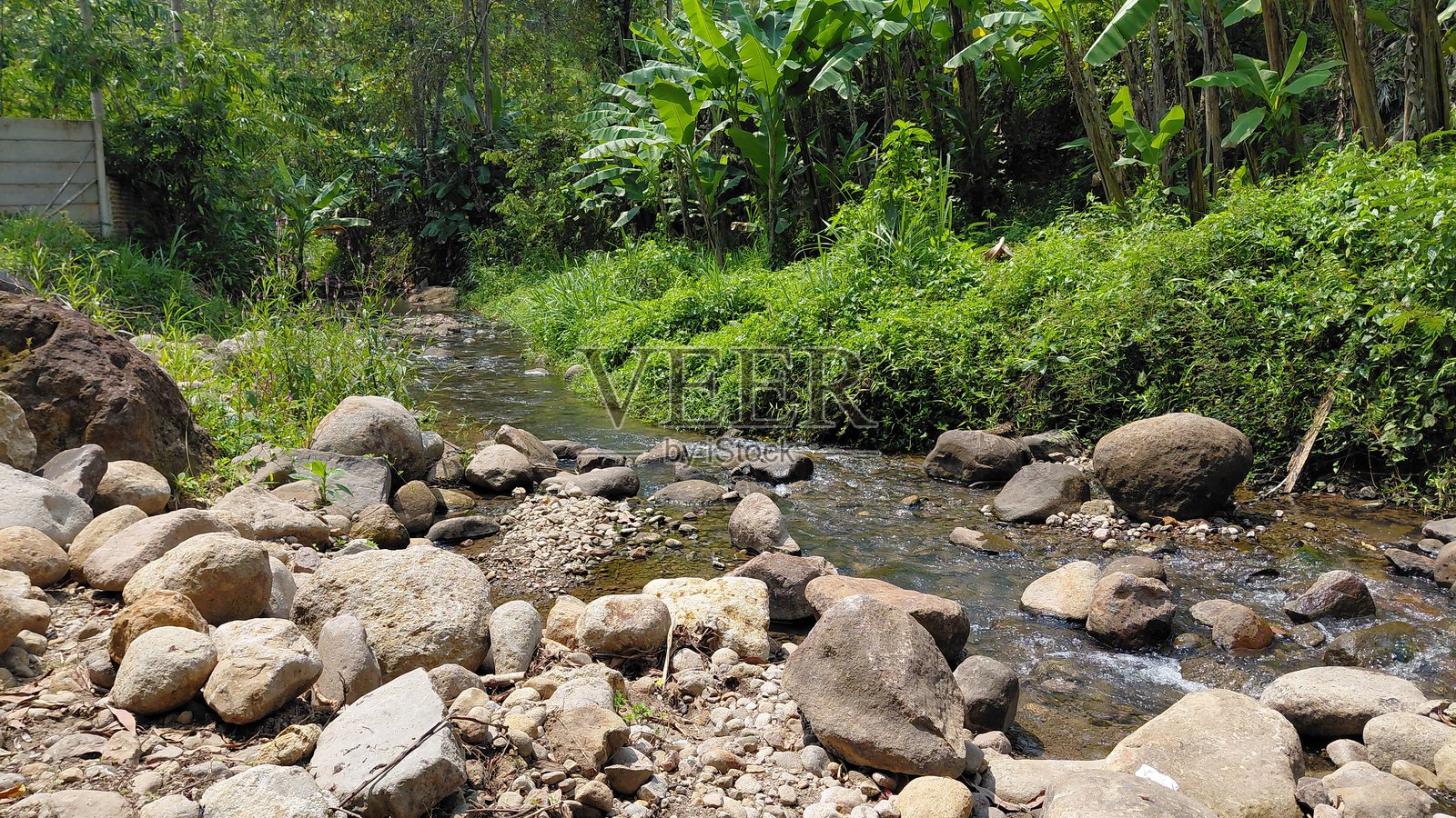 岩石热带溪流穿过葱郁的绿色森林照片摄影图片