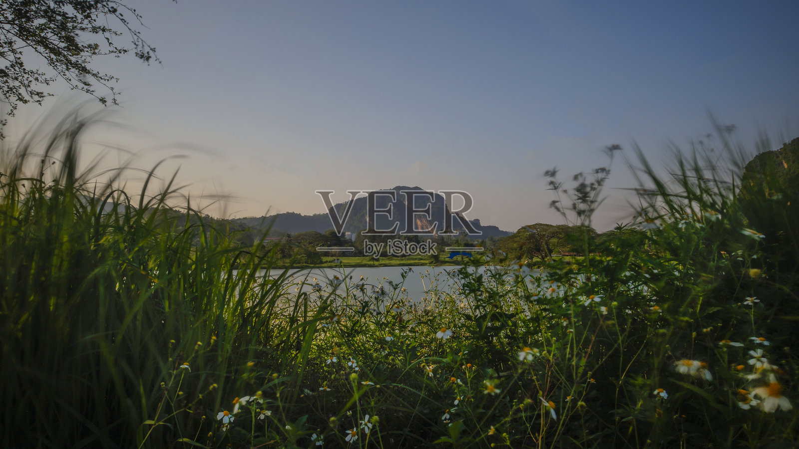 低角度拍摄的野花草甸和石灰岩山照片摄影图片