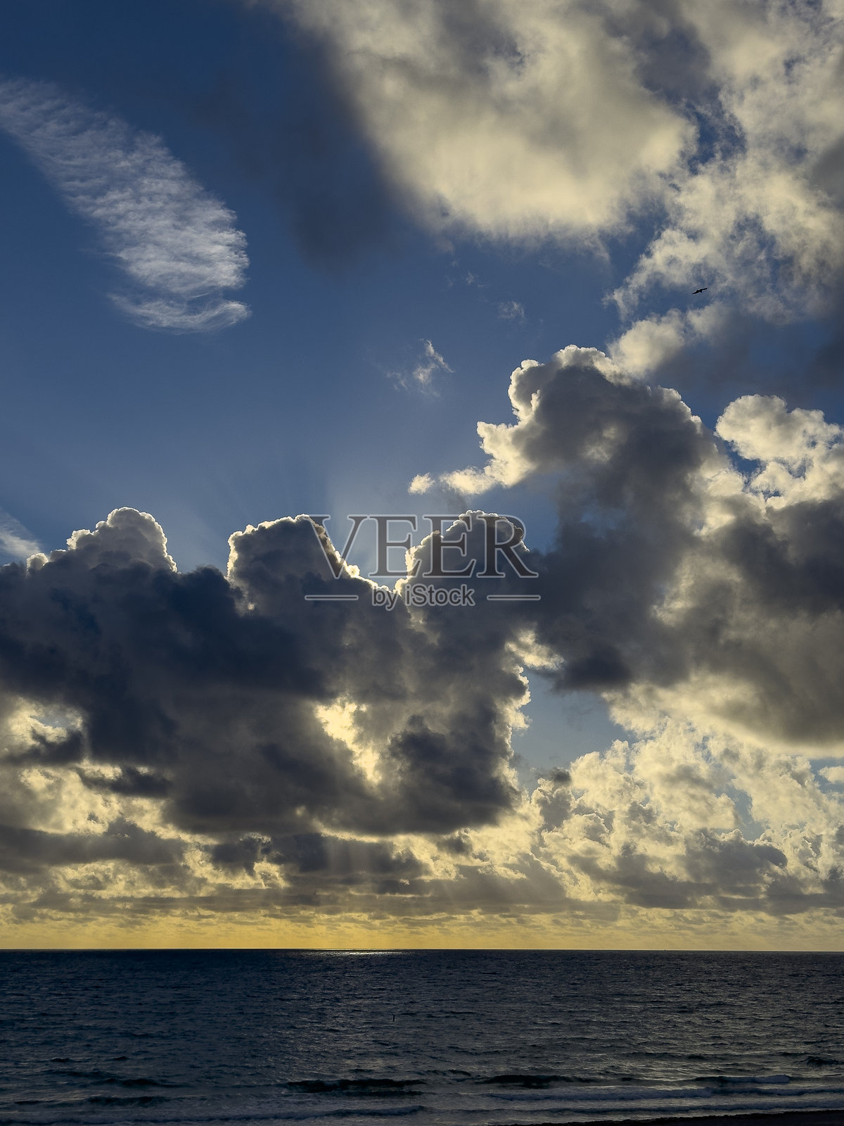 劳德代尔堡海滨海上壮丽的日出照片摄影图片