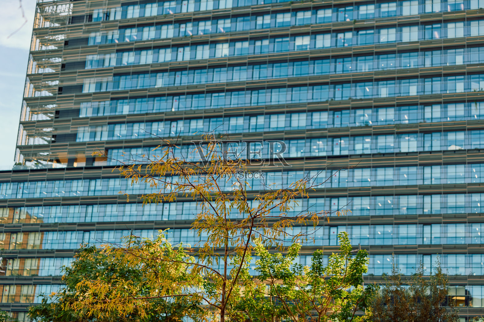 现代建筑外观,配有玻璃窗和城市树木照片摄影图片