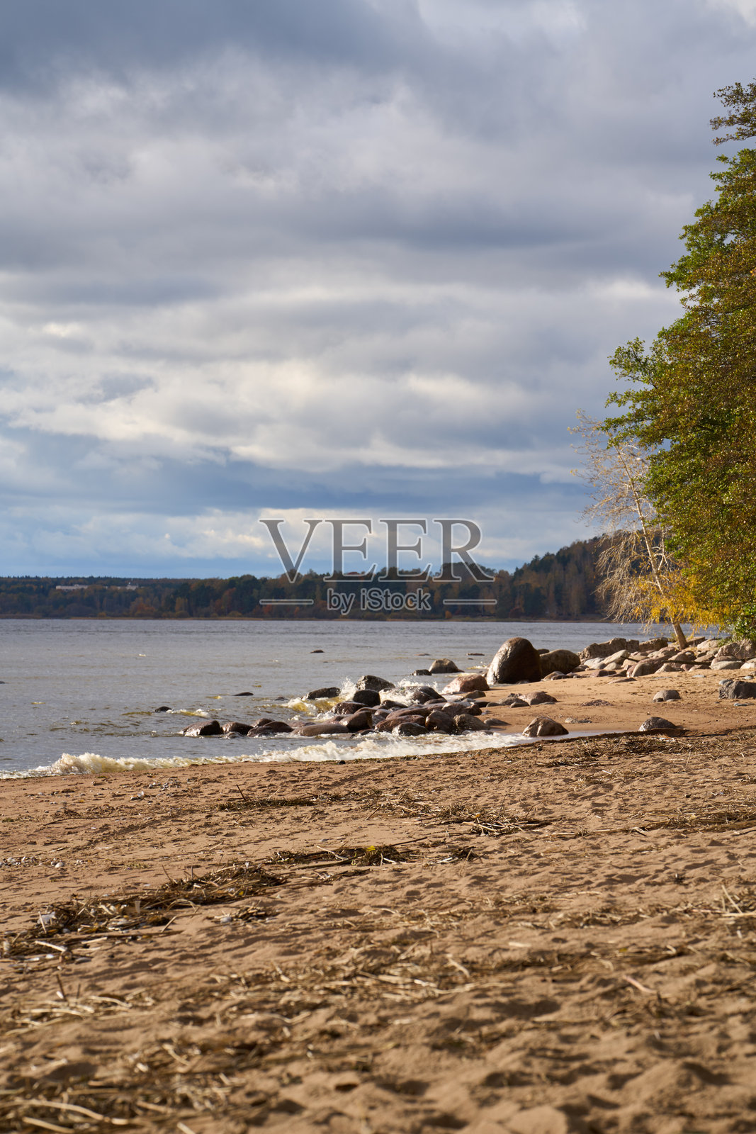 阴云密布的天空下,海边的森林和沙滩,伴有海浪和岩石。照片摄影图片