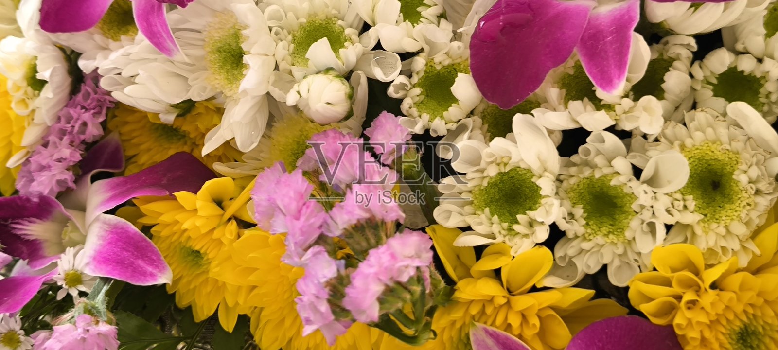 多彩的花朵作为背景照片摄影图片