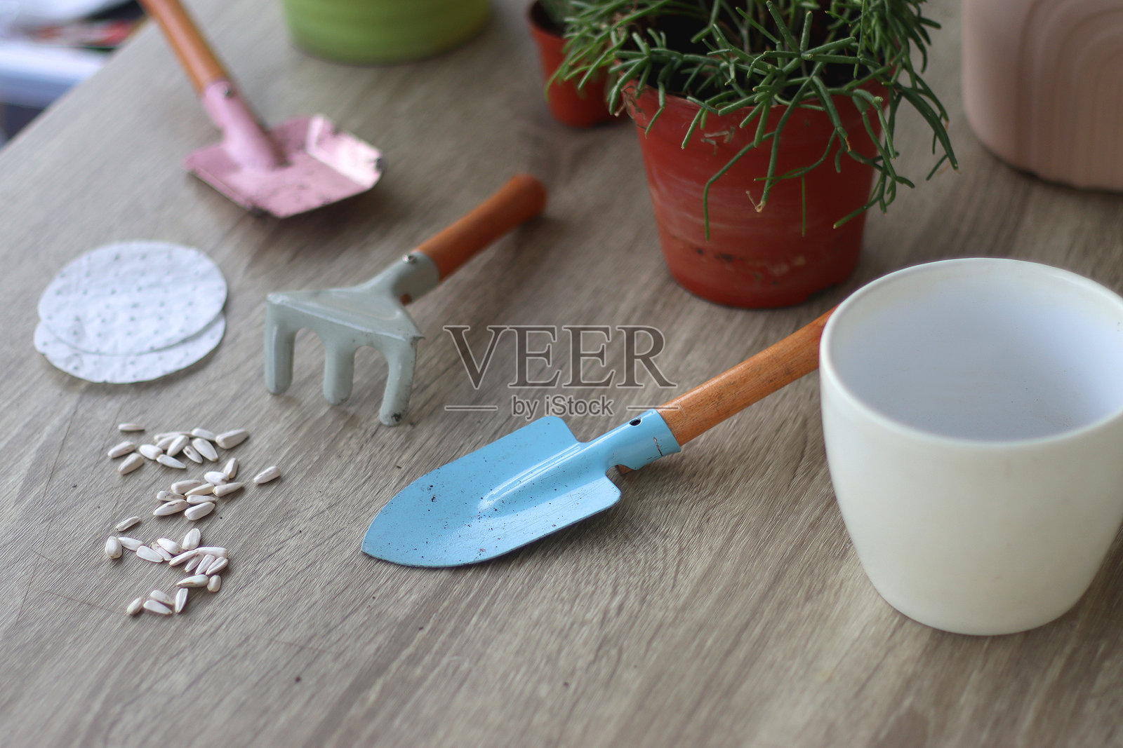 室内植物和园艺工具照片摄影图片