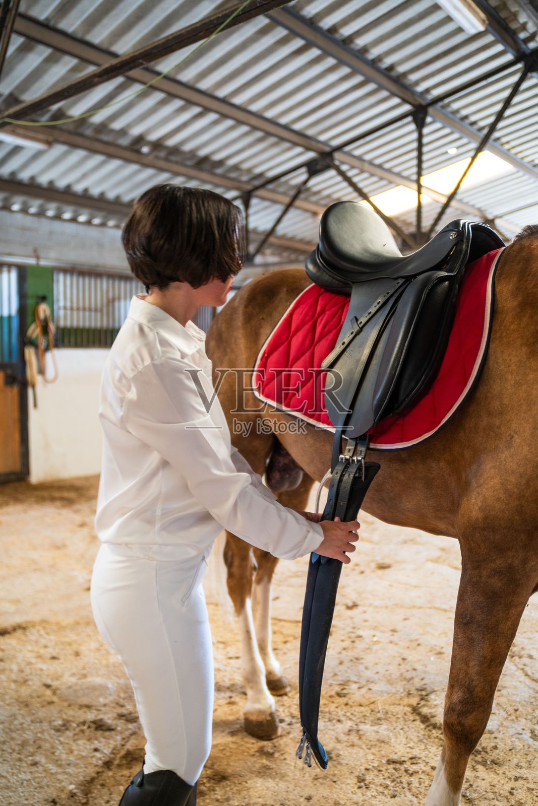 女子在马厩为骑马做准备照片摄影图片