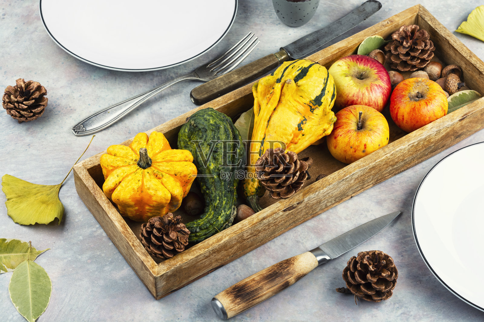 南瓜、苹果、秋天照片摄影图片