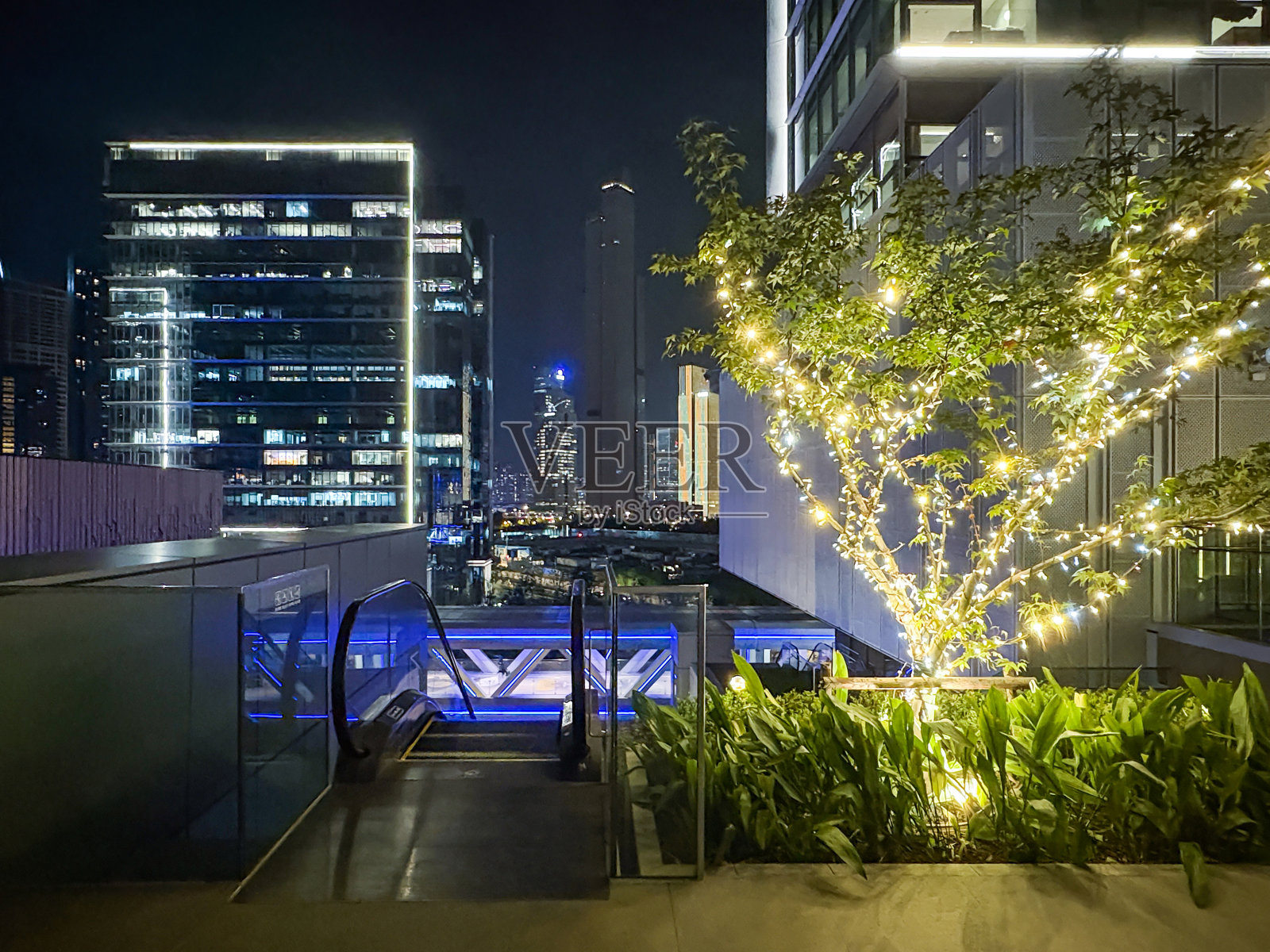 夜晚,装饰着霓虹灯的城市办公楼照片摄影图片