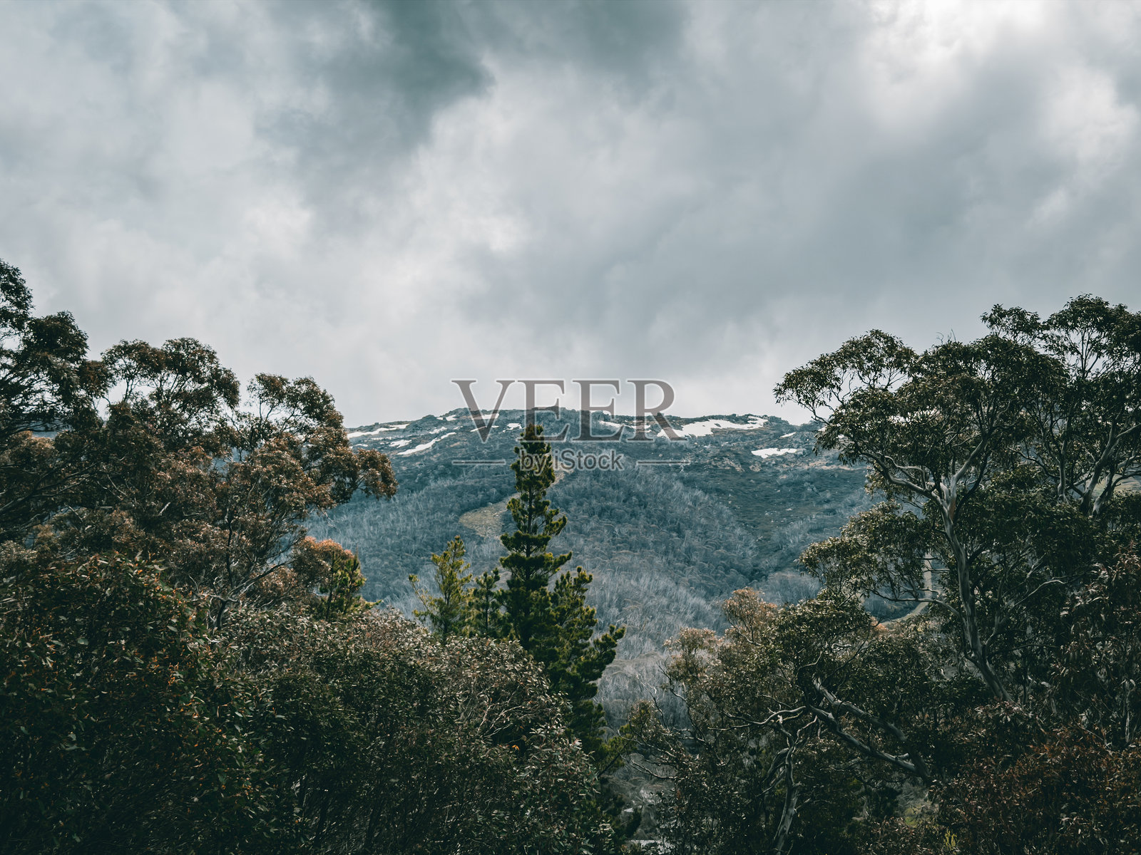 澳大利亚阿尔卑斯山摄影,雪山美景。澳大利亚新南威尔士州照片摄影图片