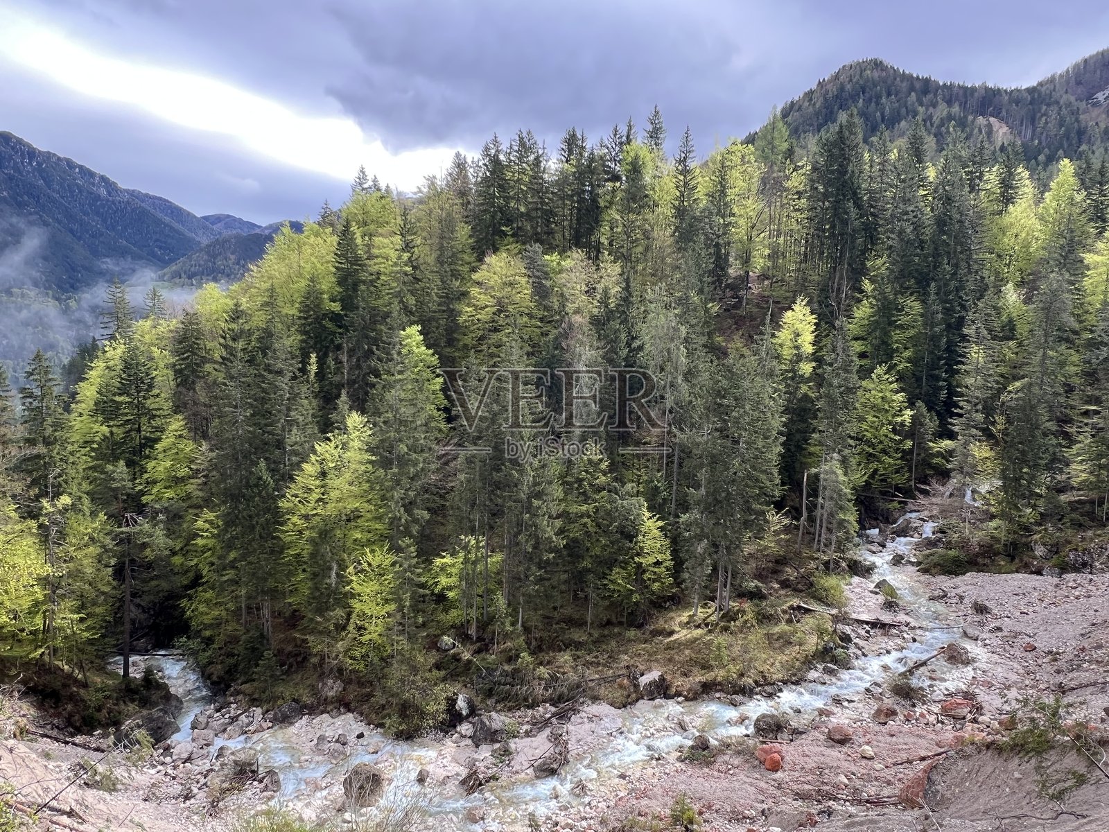 朱利安阿尔卑斯山脉的马图尔耶克溪,戈兹德马图尔耶克(斯洛文尼亚,特里格拉夫国家公园)照片摄影图片