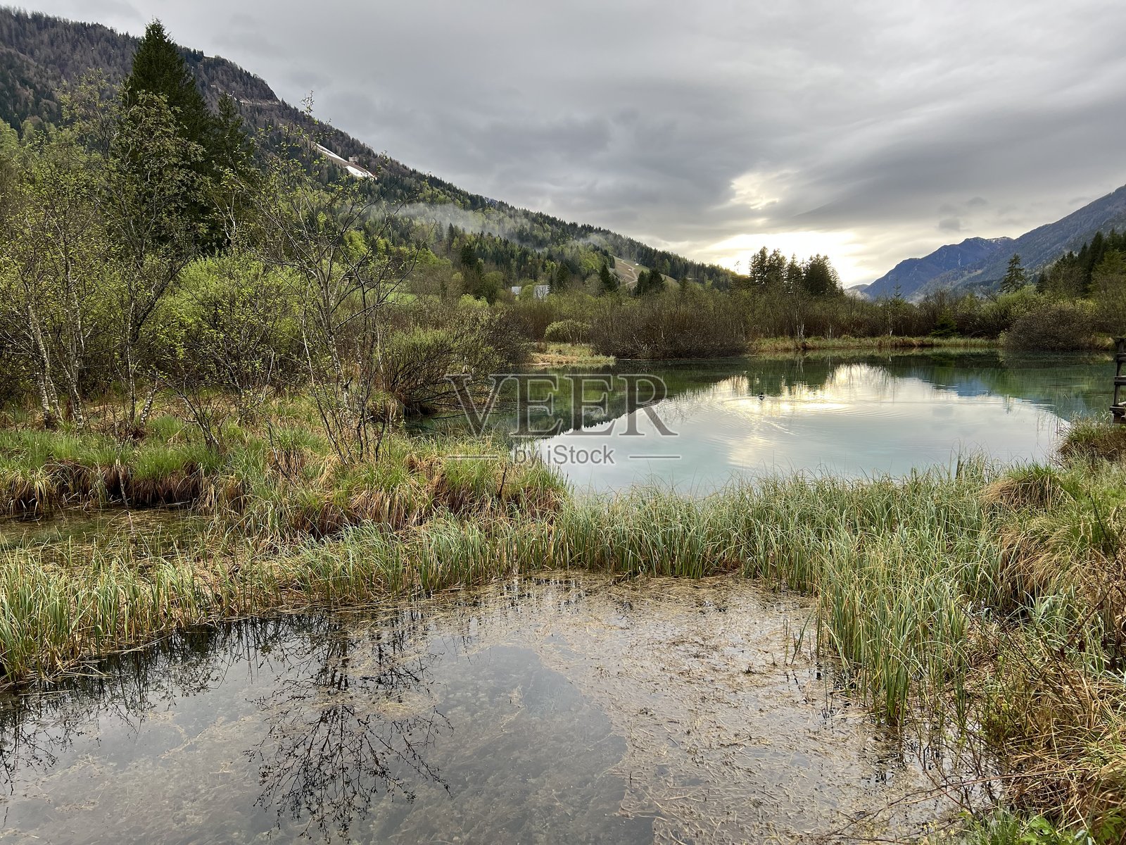 塞莱奇自然保护区——萨瓦多林卡河源头,斯洛文尼亚照片摄影图片