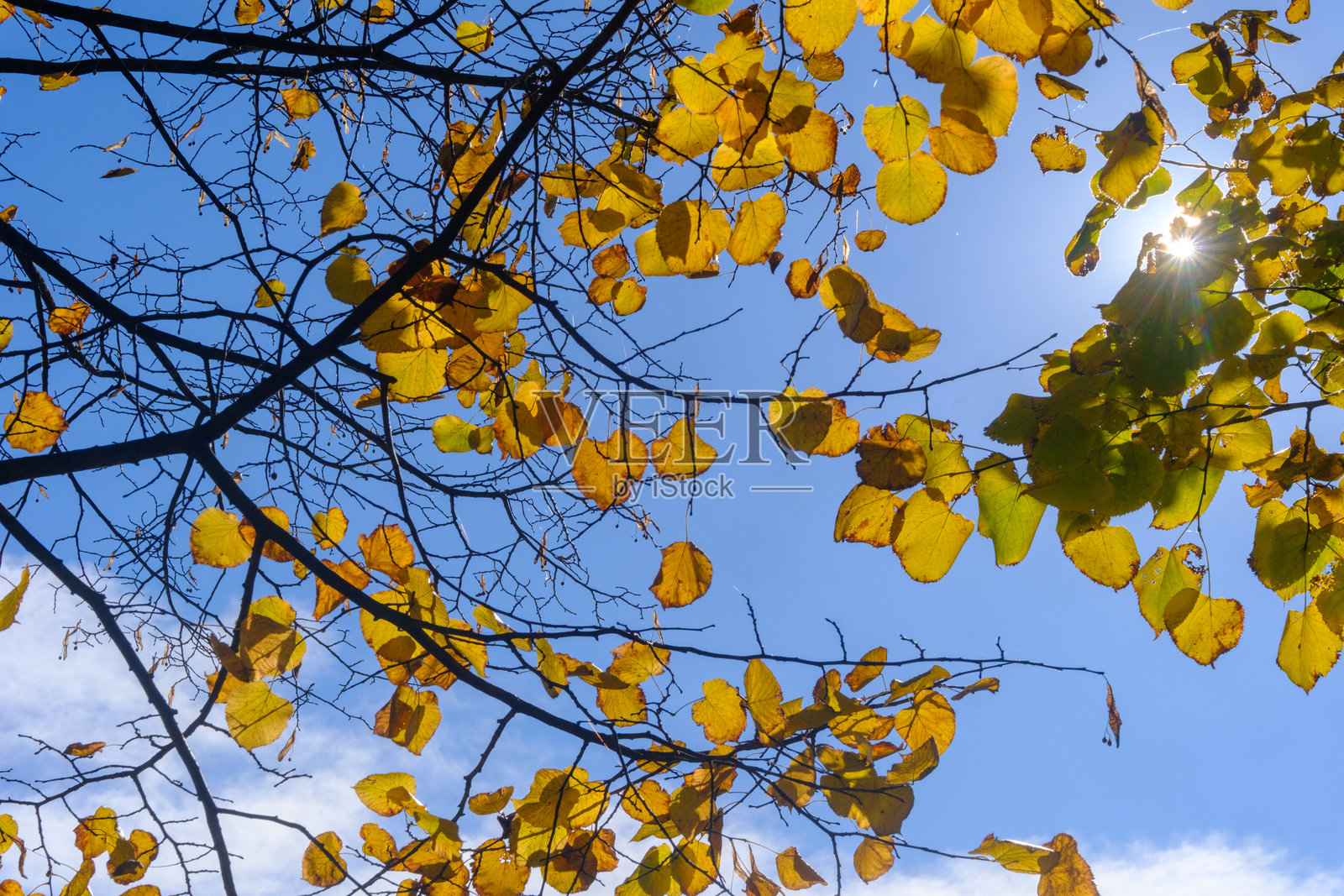 十月的蒙扎公园照片摄影图片