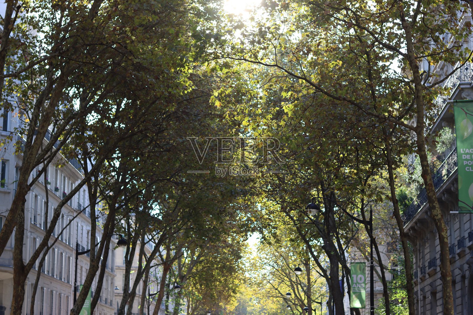 沿着绿树成荫的街道望去照片摄影图片