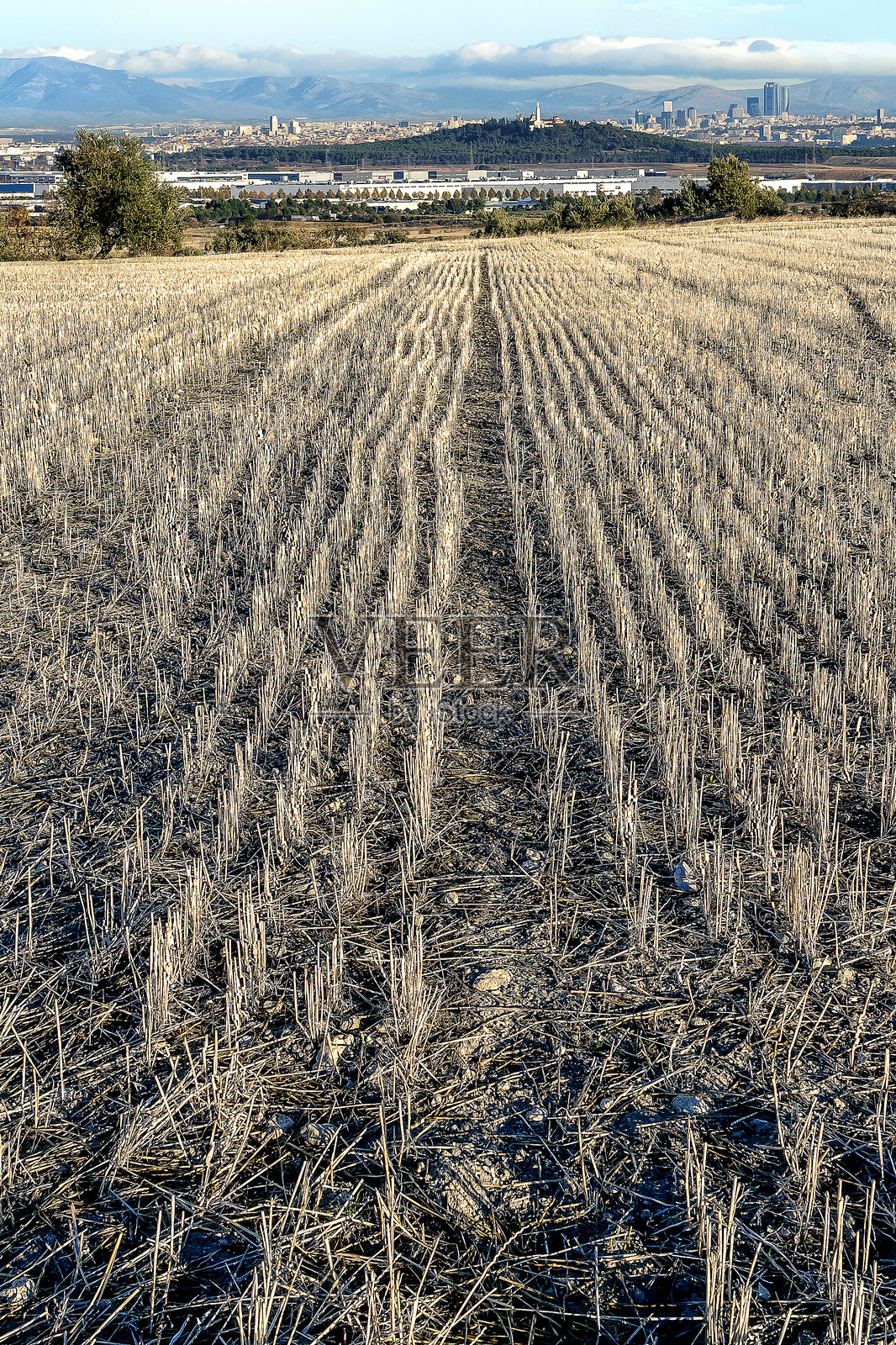 胡茬后的城市照片摄影图片