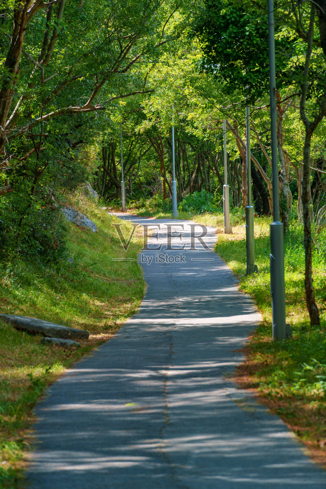 公园里一条舒适的步行小径,周围绿树成荫,远眺森林覆盖的山峦照片摄影图片