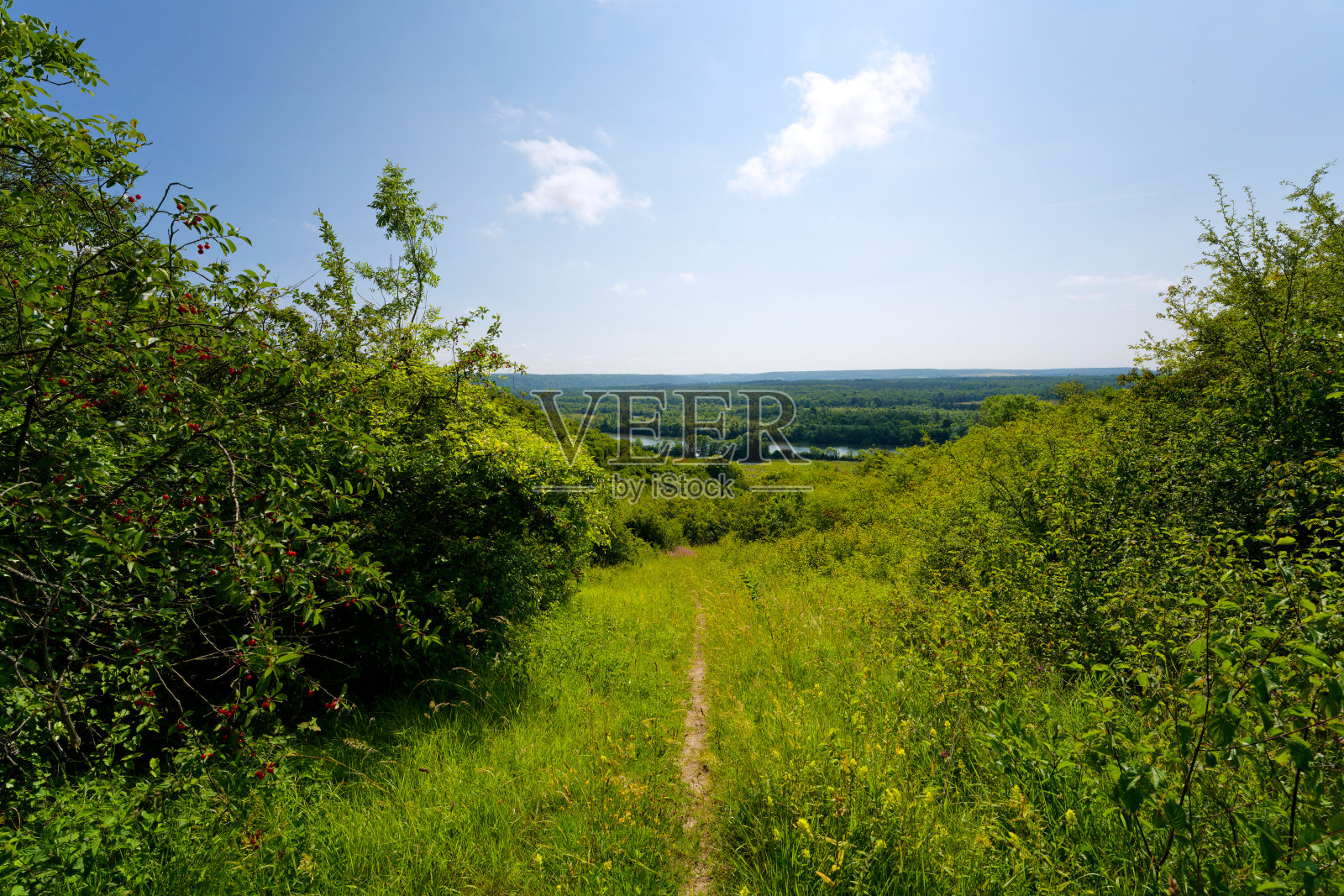 塞纳河畔的天然自然保护区照片摄影图片