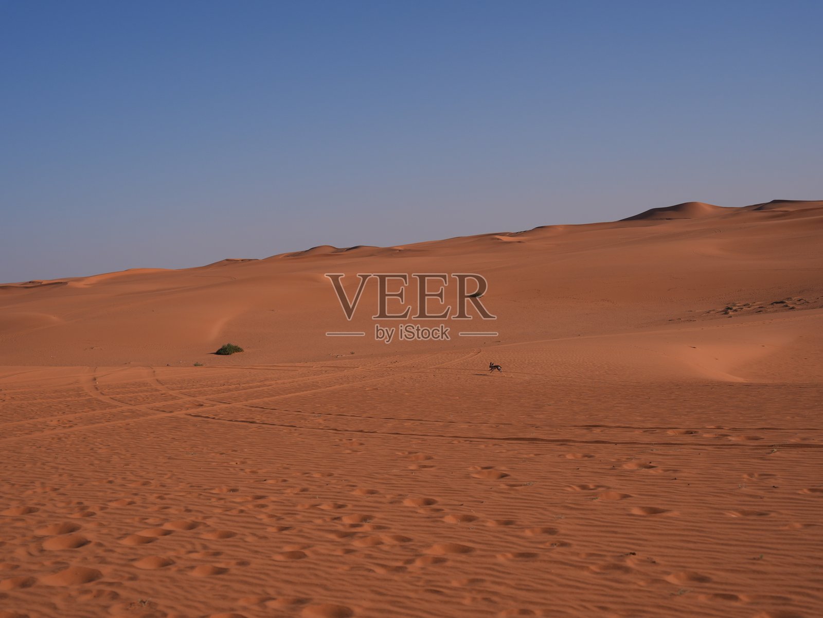 广阔的沙漠景观,远方有行人及车辙照片摄影图片