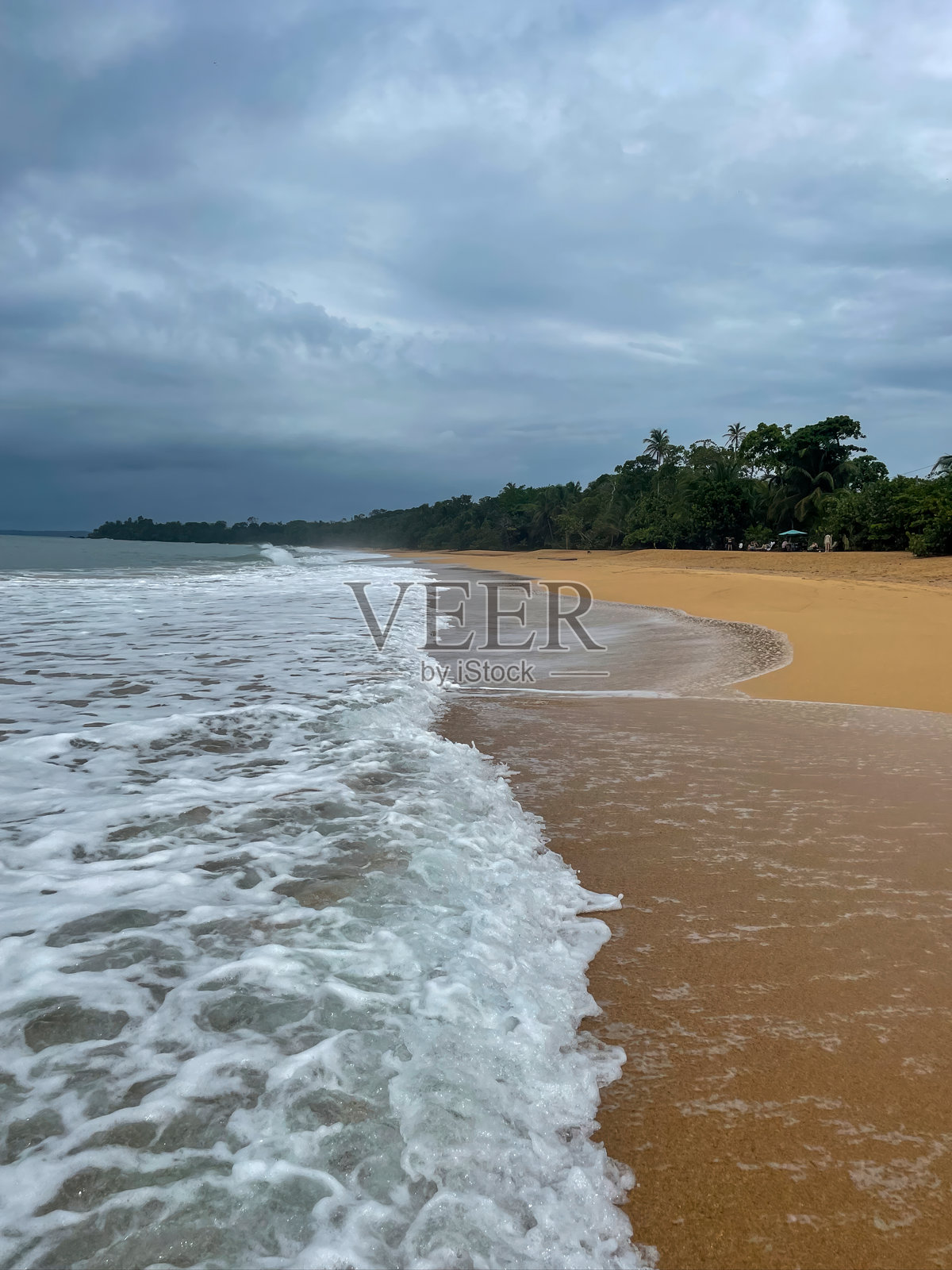 加勒比海的热带海滩,金色沙滩,泡沫翻滚的海浪,郁郁葱葱的绿色棕榈树,蓝色的多云天空照片摄影图片