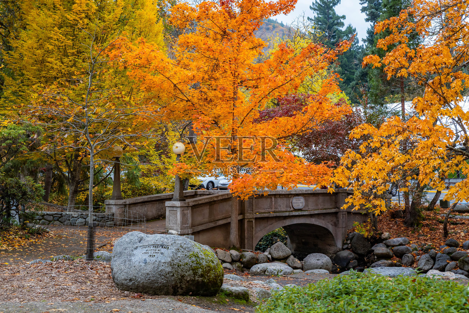 阿什兰利西亚公园秋日金色瀑布旁的古老美桥照片摄影图片
