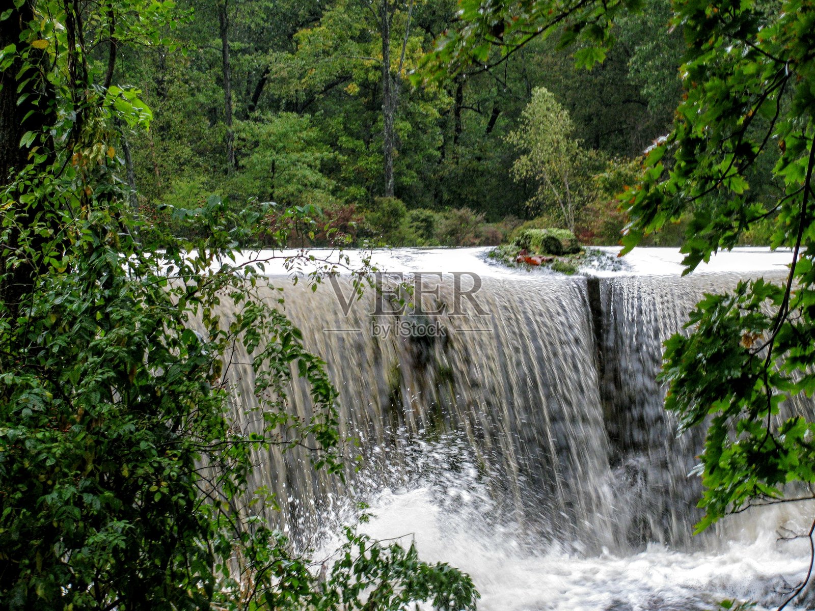 瀑布与树木照片摄影图片