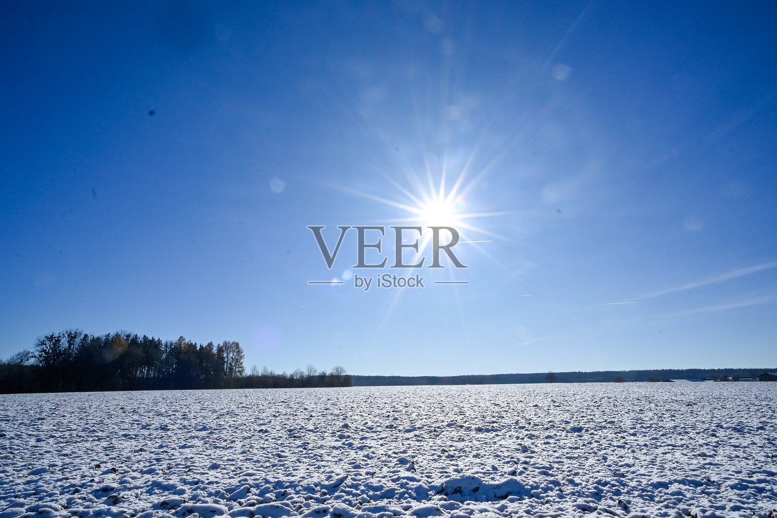 霜照片摄影图片