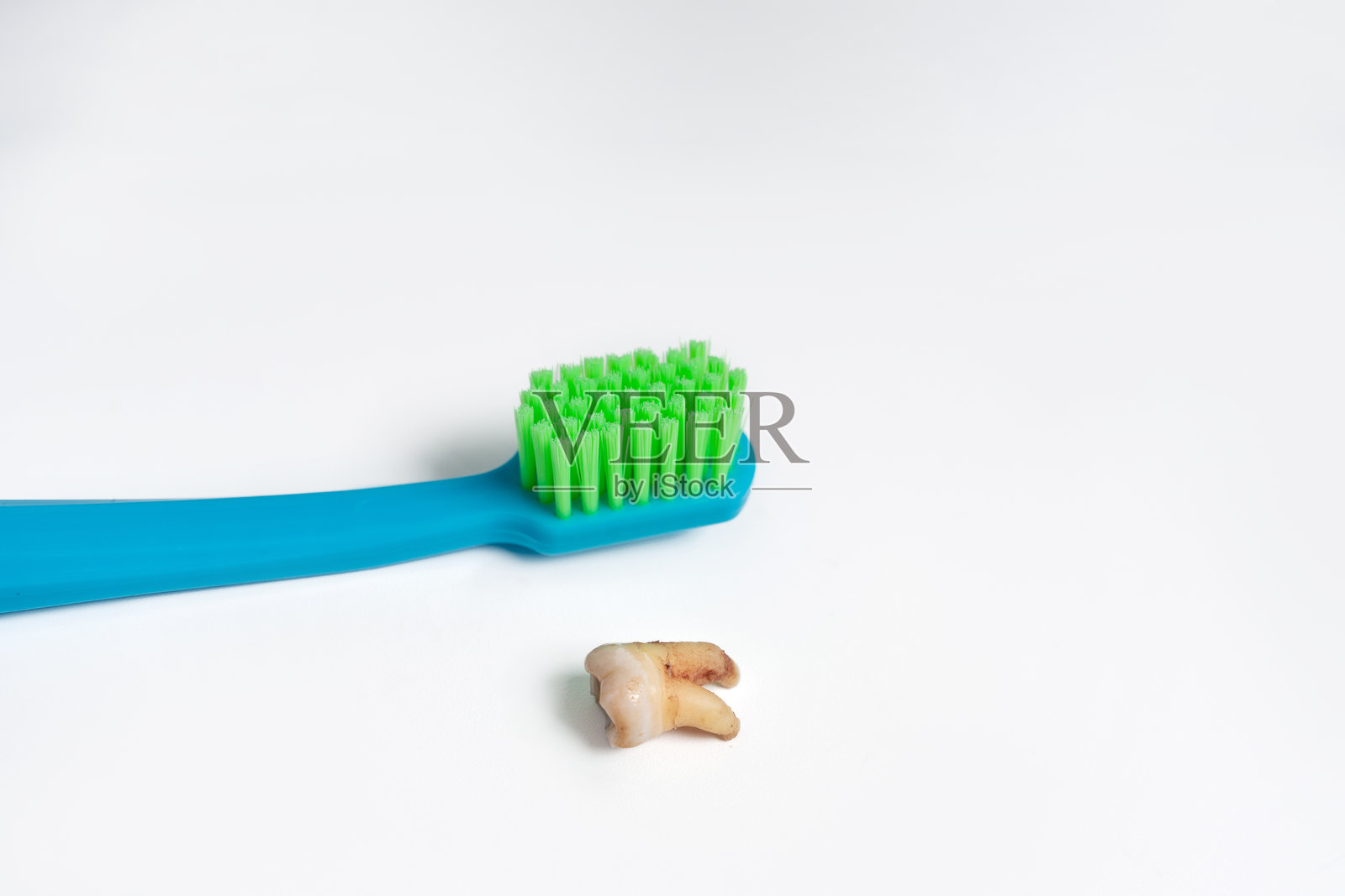 一颗脱落或拔出的牙齿,放在牙刷旁边,背景为白色照片摄影图片