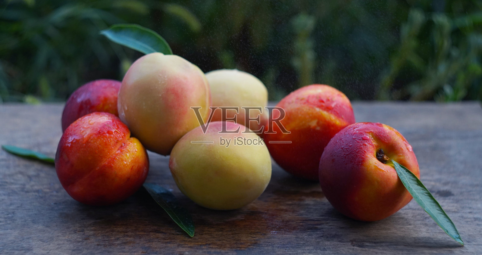 光滑无毛的桃子上的水滴,已收集照片摄影图片