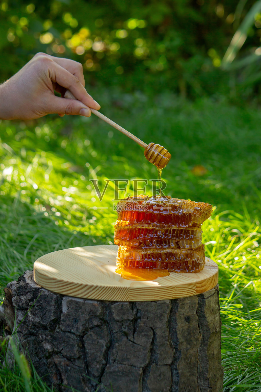 阳光下,天然蜂蜜从蜂蜜勺滴落到蜂巢堆上照片摄影图片