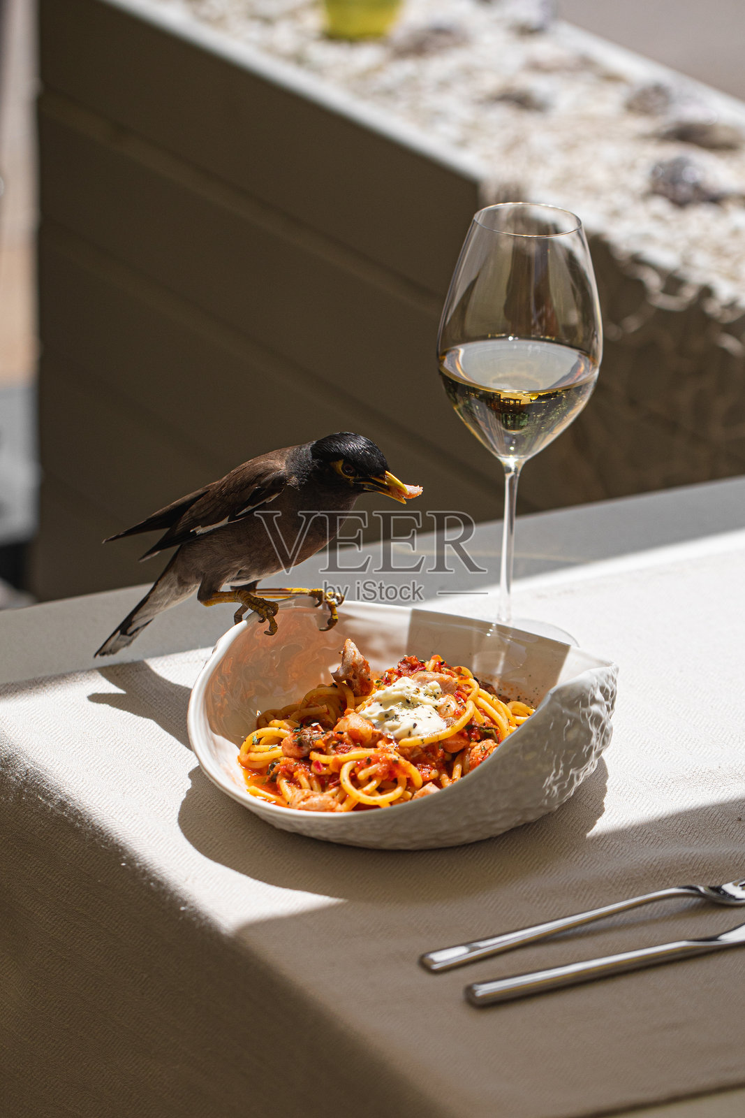 一只鸟正从盘子里偷意大利面和白葡萄酒照片摄影图片