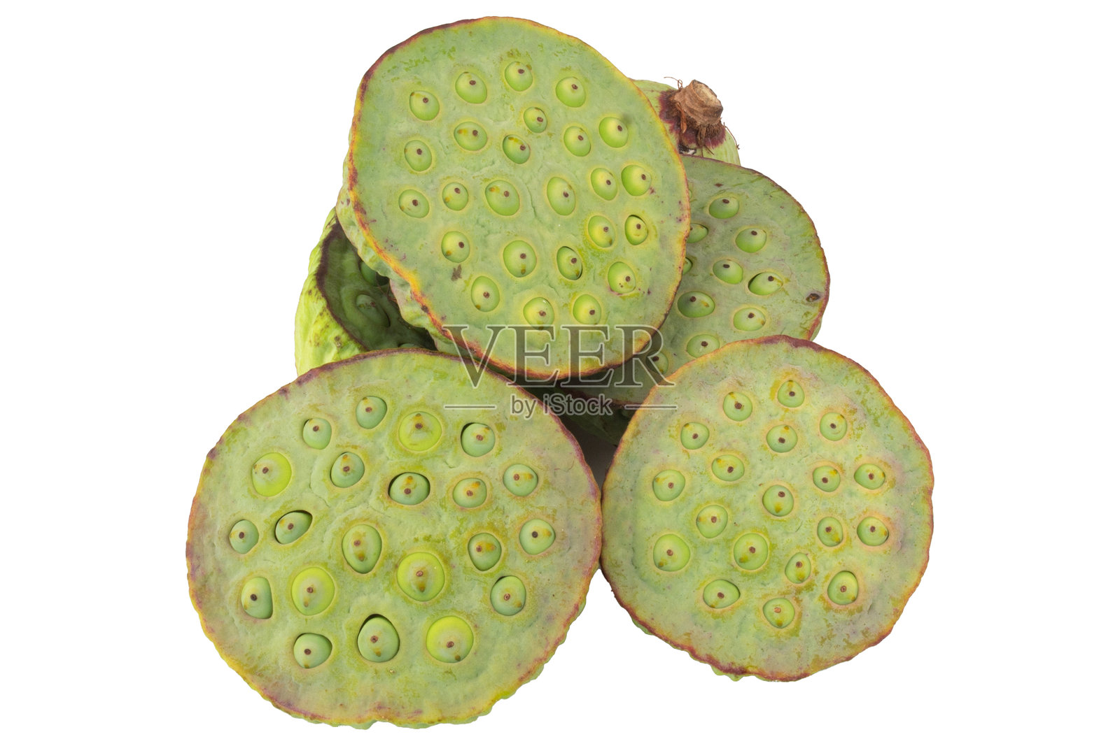 白底分离的莲子照片摄影图片