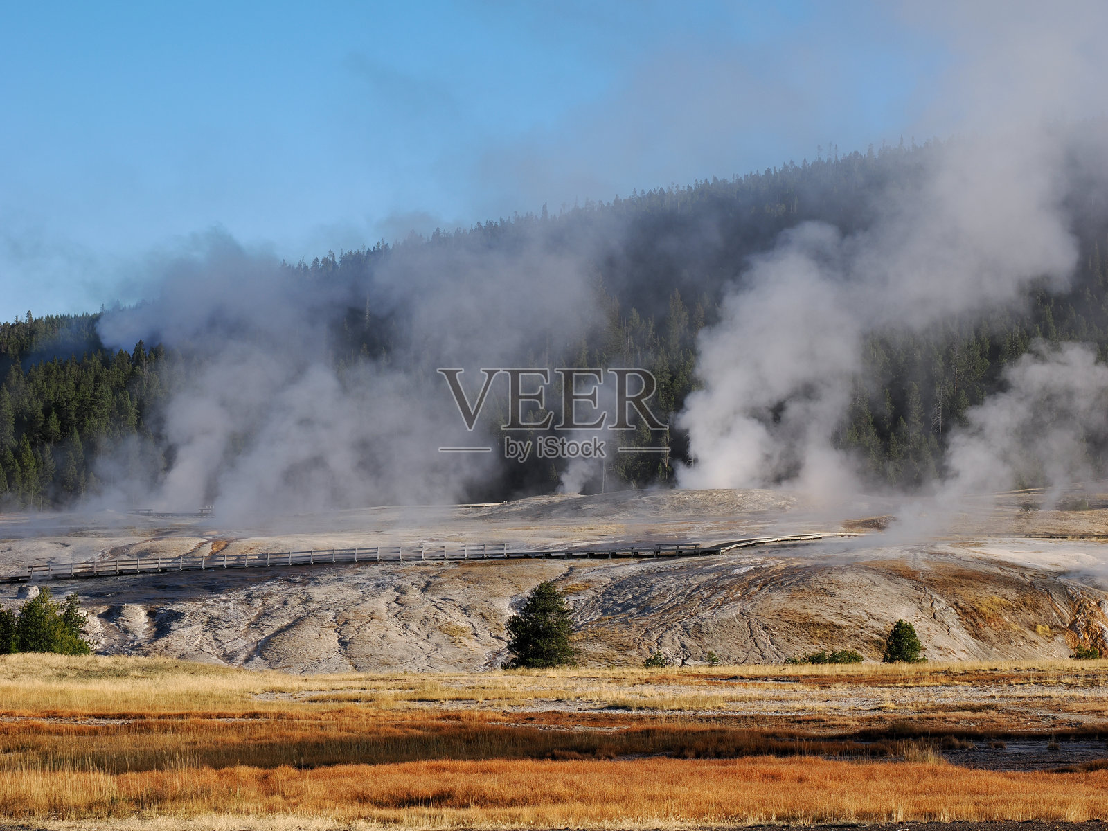 木栈道蜿蜒穿过蒸汽弥漫的间歇泉盆地照片摄影图片