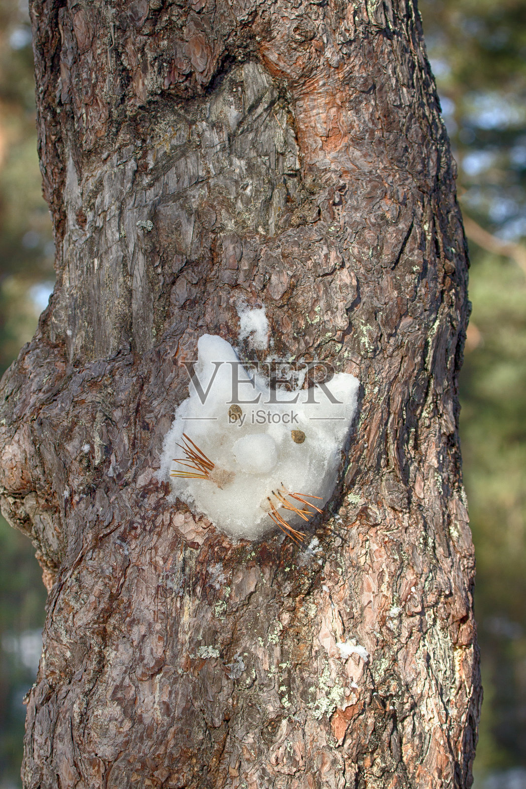 由雪制成的人物粘在任何表面上照片摄影图片