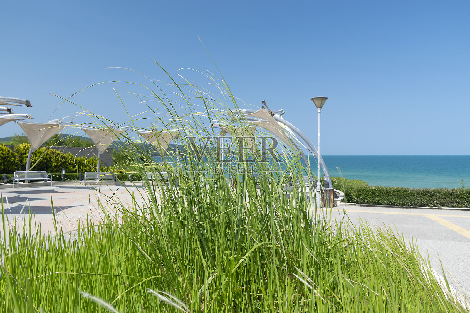 保加利亚阳光明媚的海滩,有沙丘和蓝天照片摄影图片