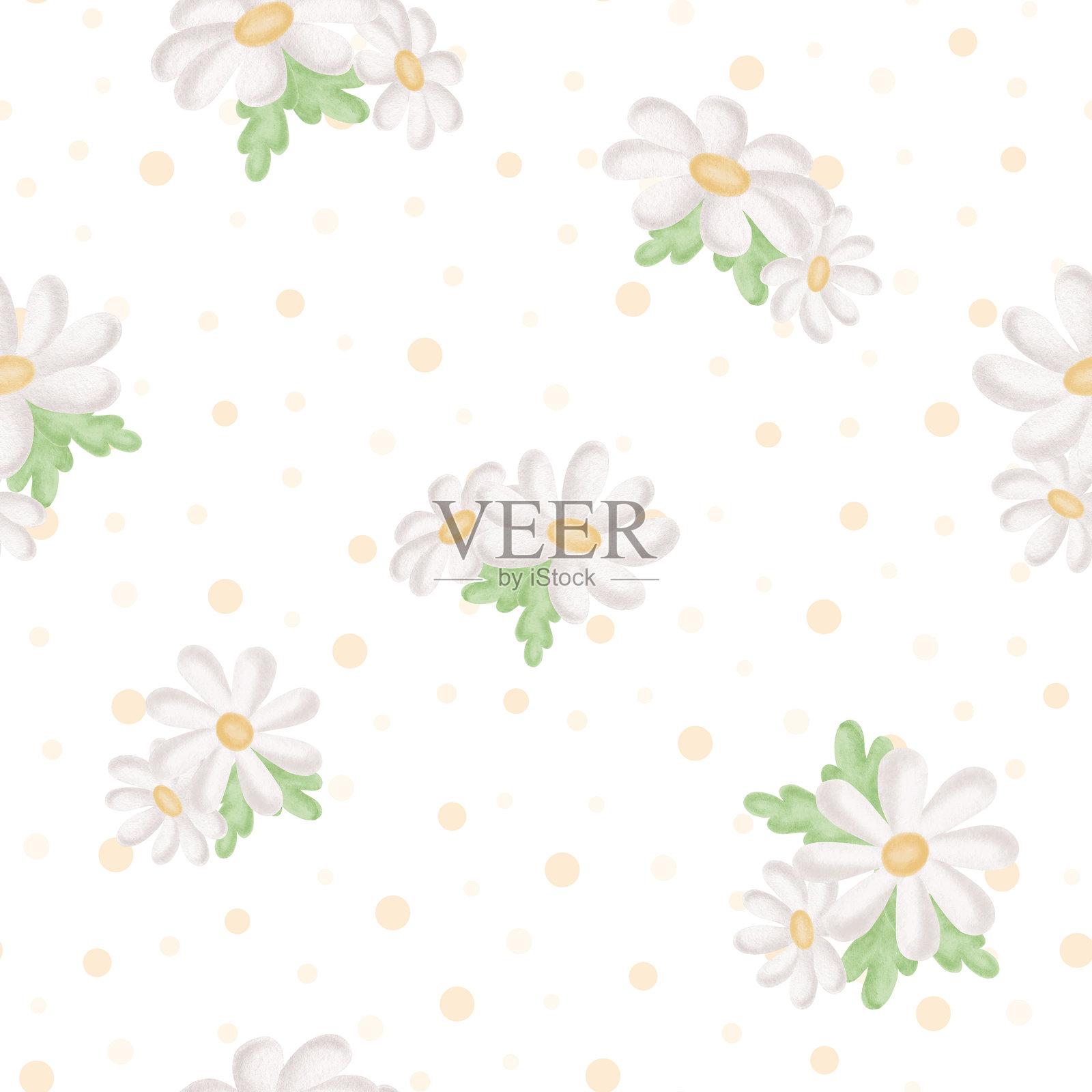 带叶子的洋甘菊水彩无缝边框,适合儿童插画图片素材