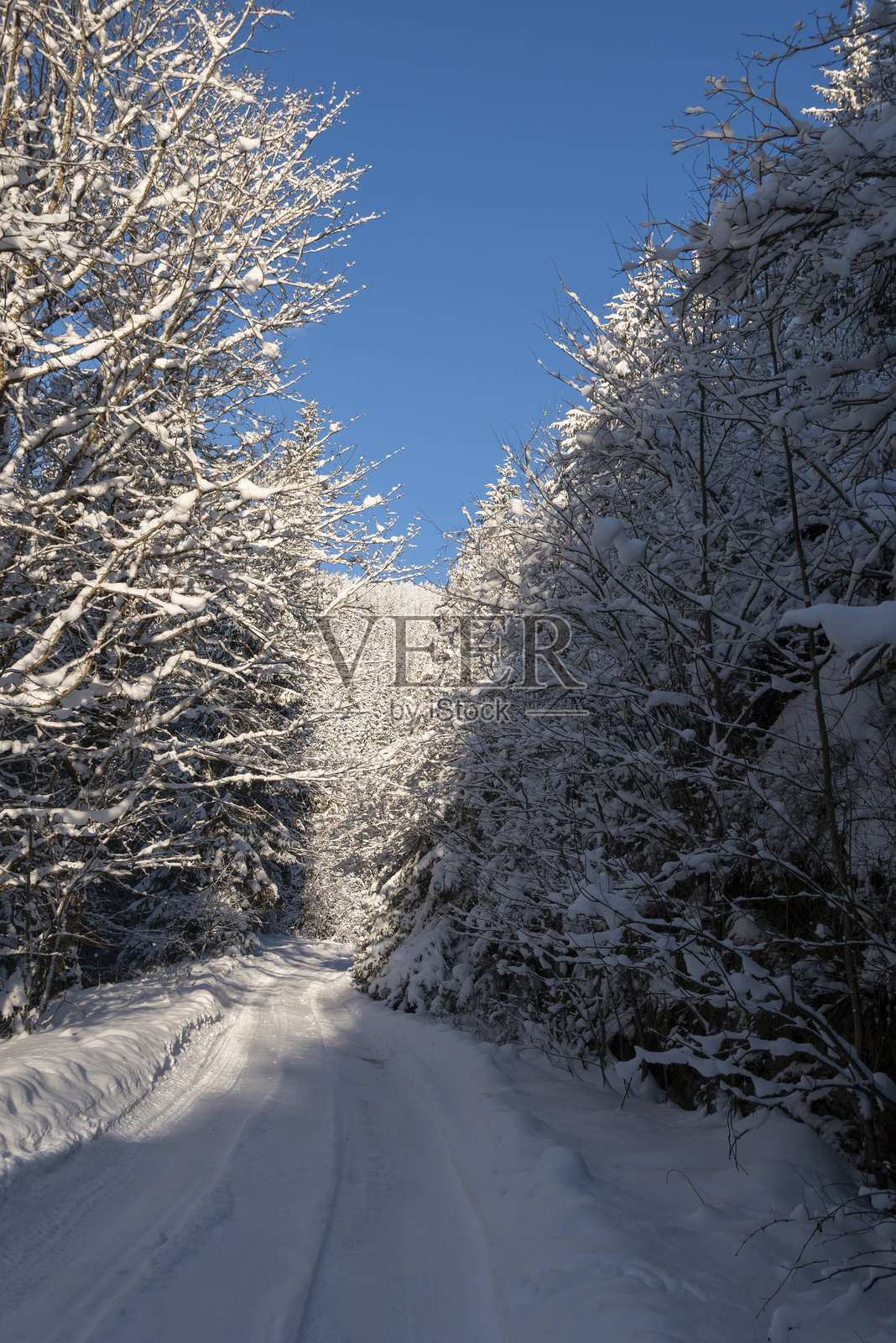 冬季仙境中覆盖着雪的风景森林公路照片摄影图片