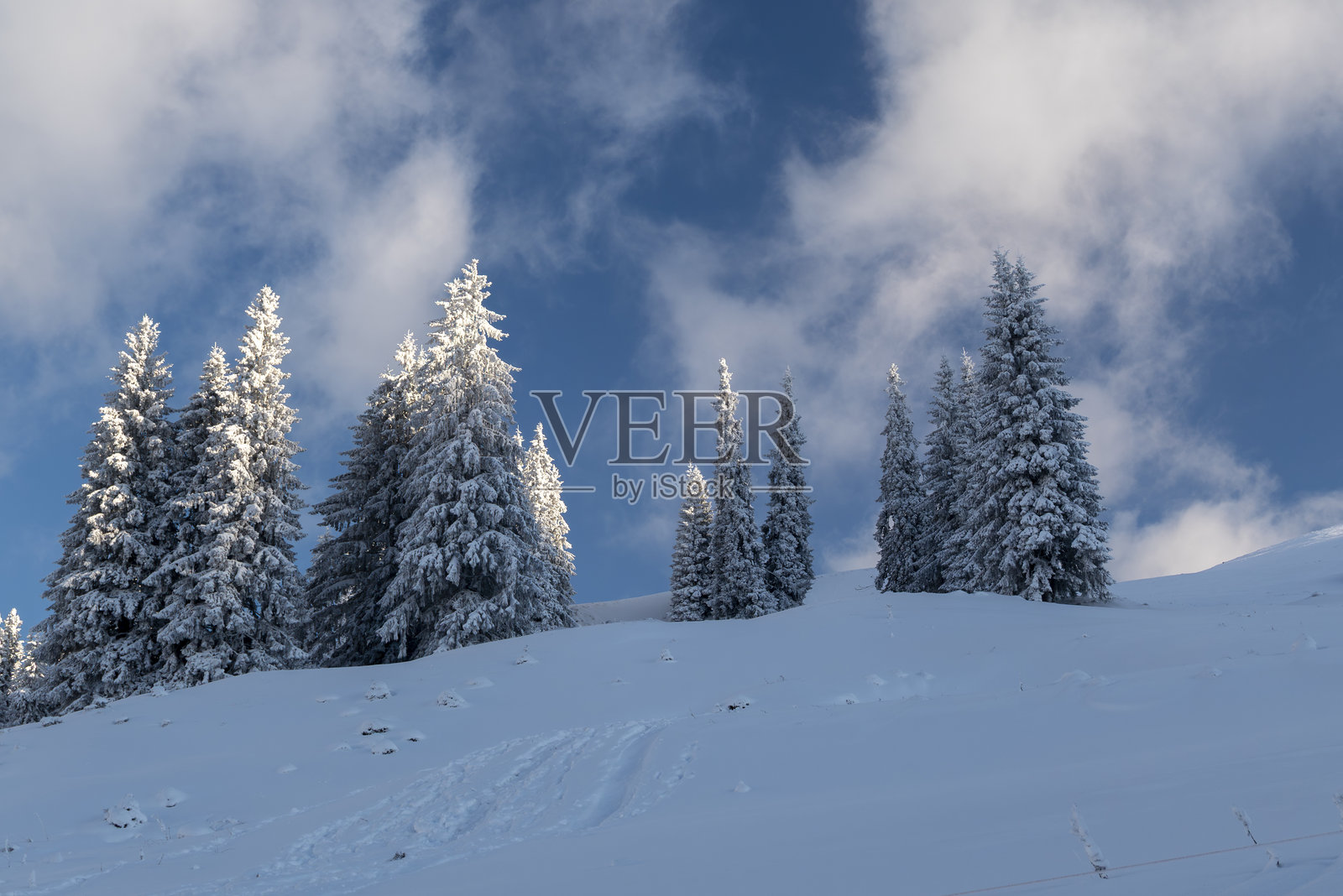 晴朗蓝天下,白雪皑皑的山峰笼罩着冬季森林照片摄影图片