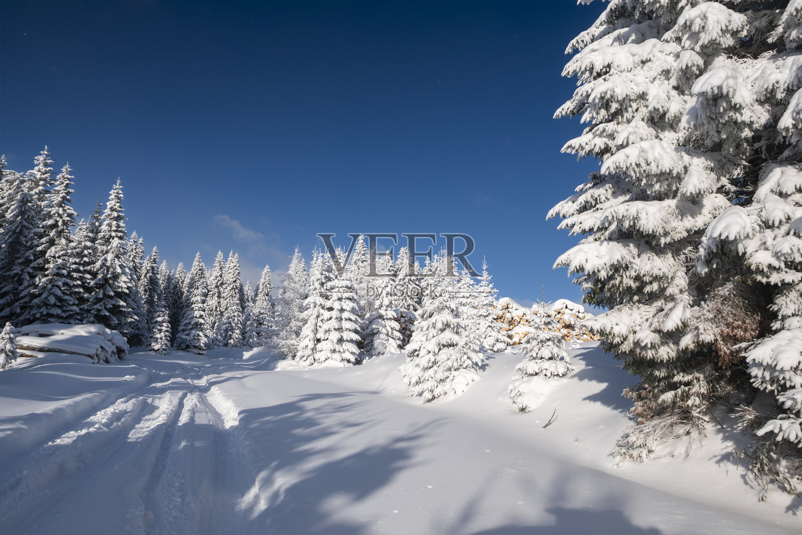 冬季仙境中风景如画的雪林小路照片摄影图片