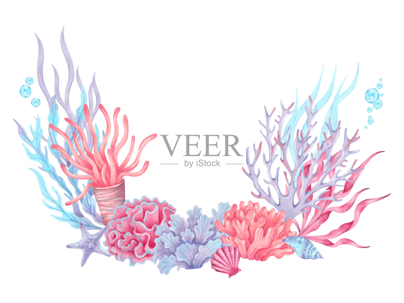 水彩海洋构成,以珊瑚、海藻、植物、贝壳、海星为特色。海底世界的景象。手绘珊瑚礁,留有文字空间。适用于儿童和夏季主题项目。插画图片素材
