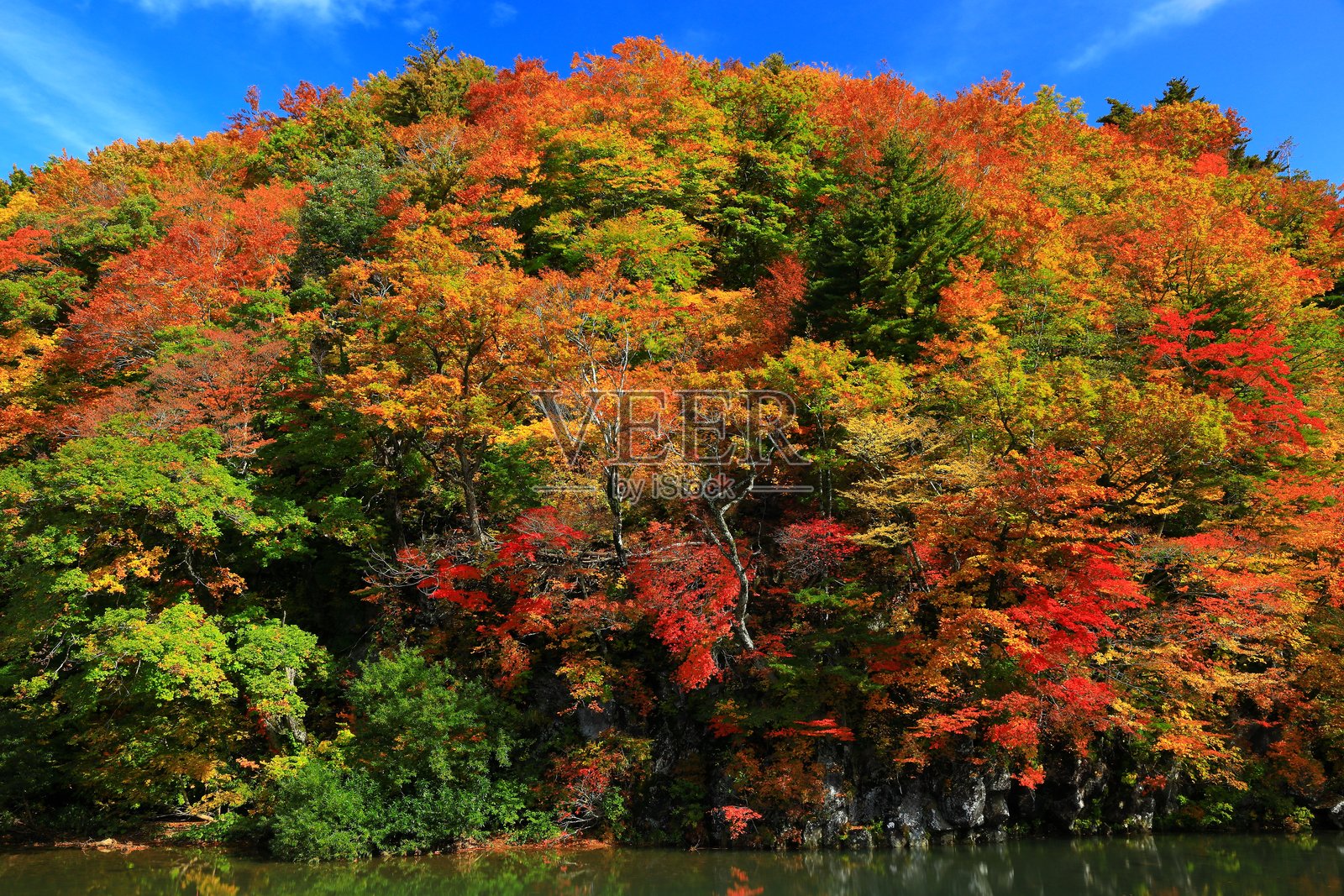 秋叶风光照片摄影图片