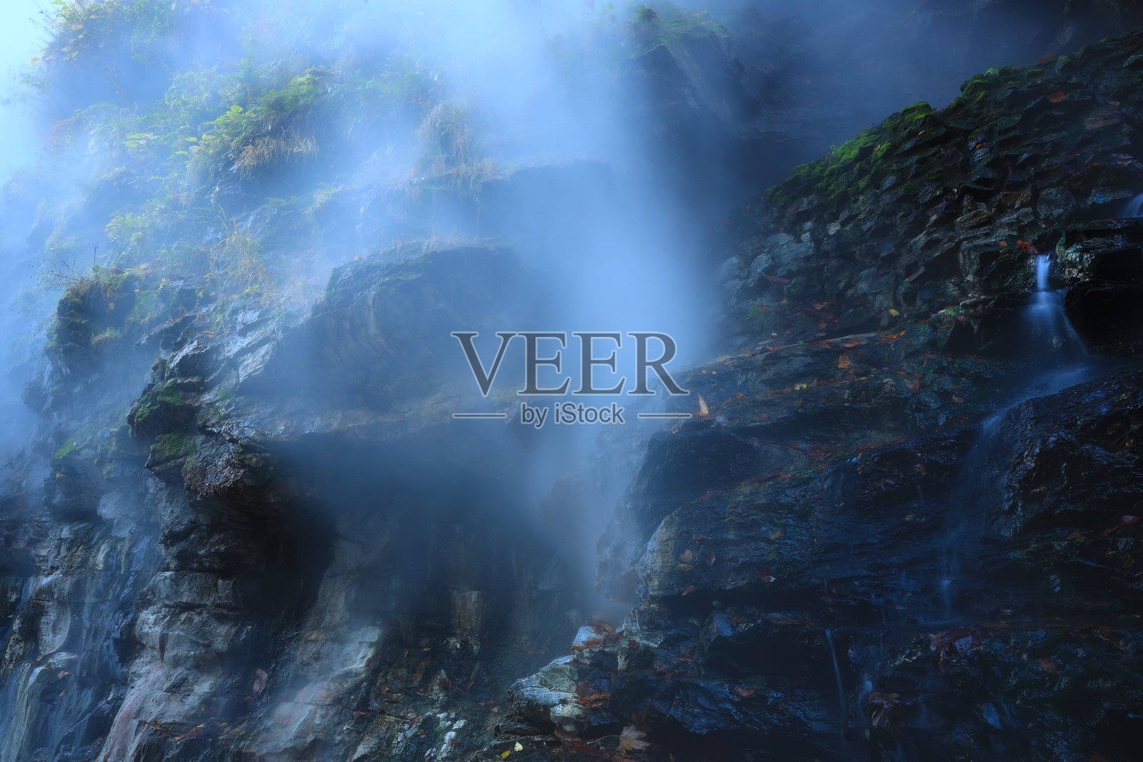 秋叶风景照片摄影图片