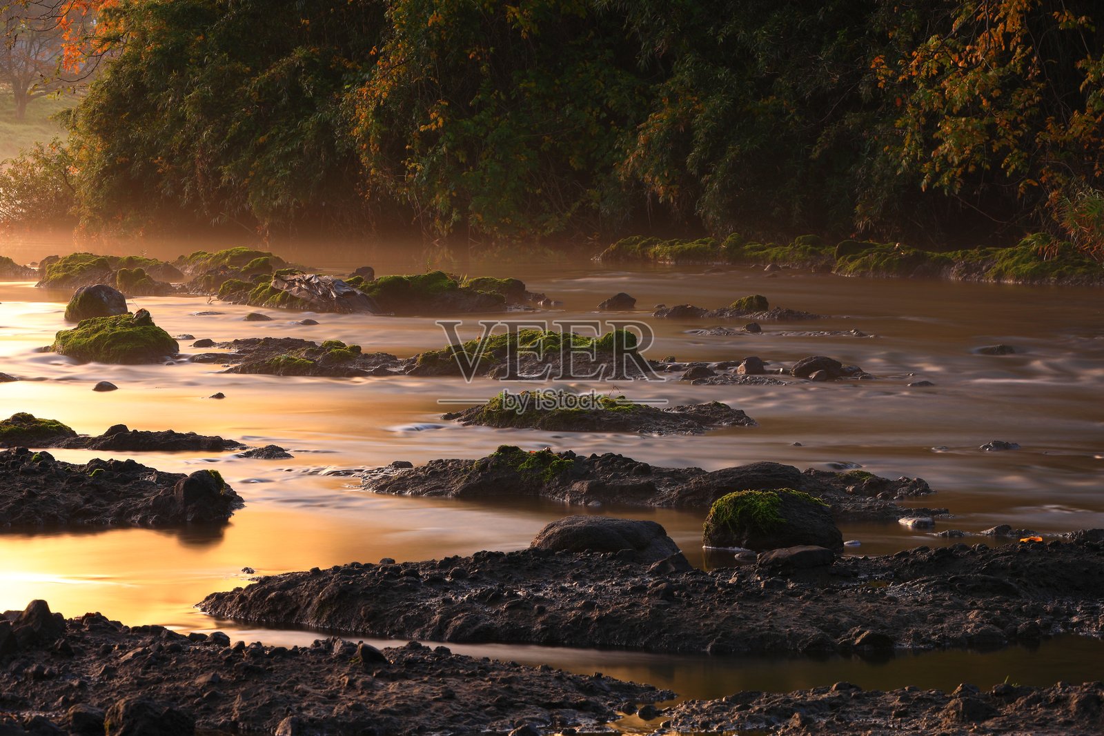秋叶风光照片摄影图片