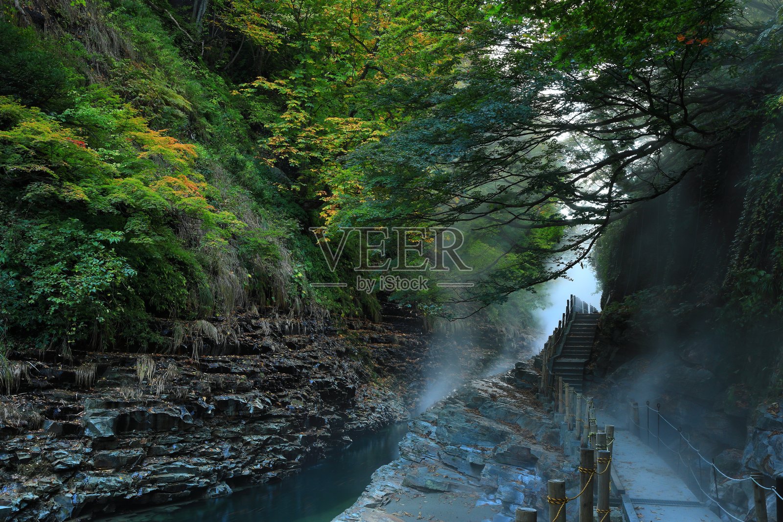 秋叶风光照片摄影图片