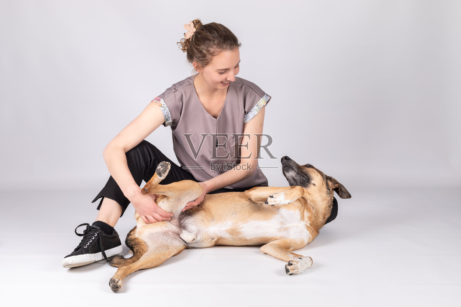 兽医理疗师在工作室为犬只提供康复治疗照片摄影图片
