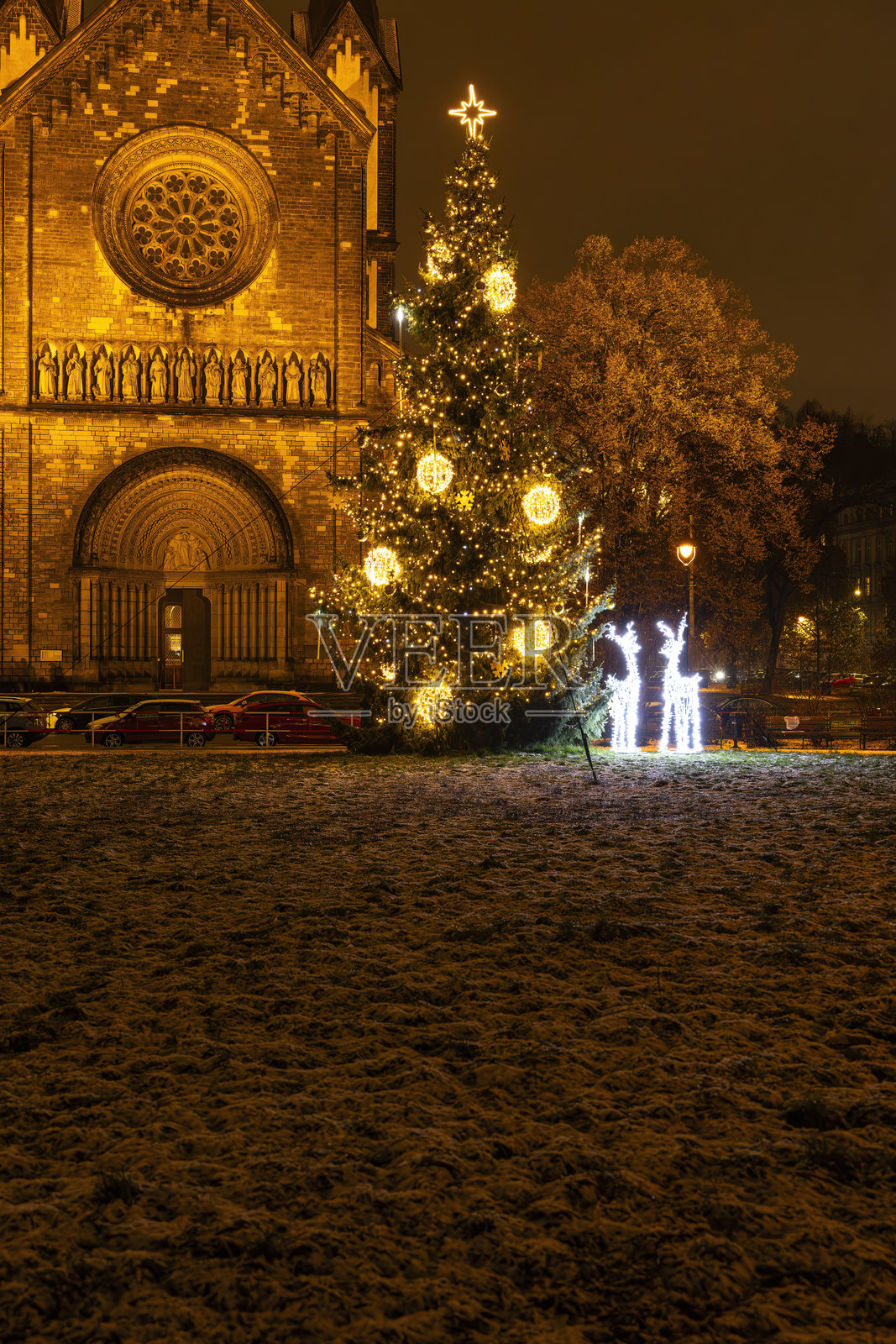 圣诞树在布拉格克日日科娃闪耀照片摄影图片