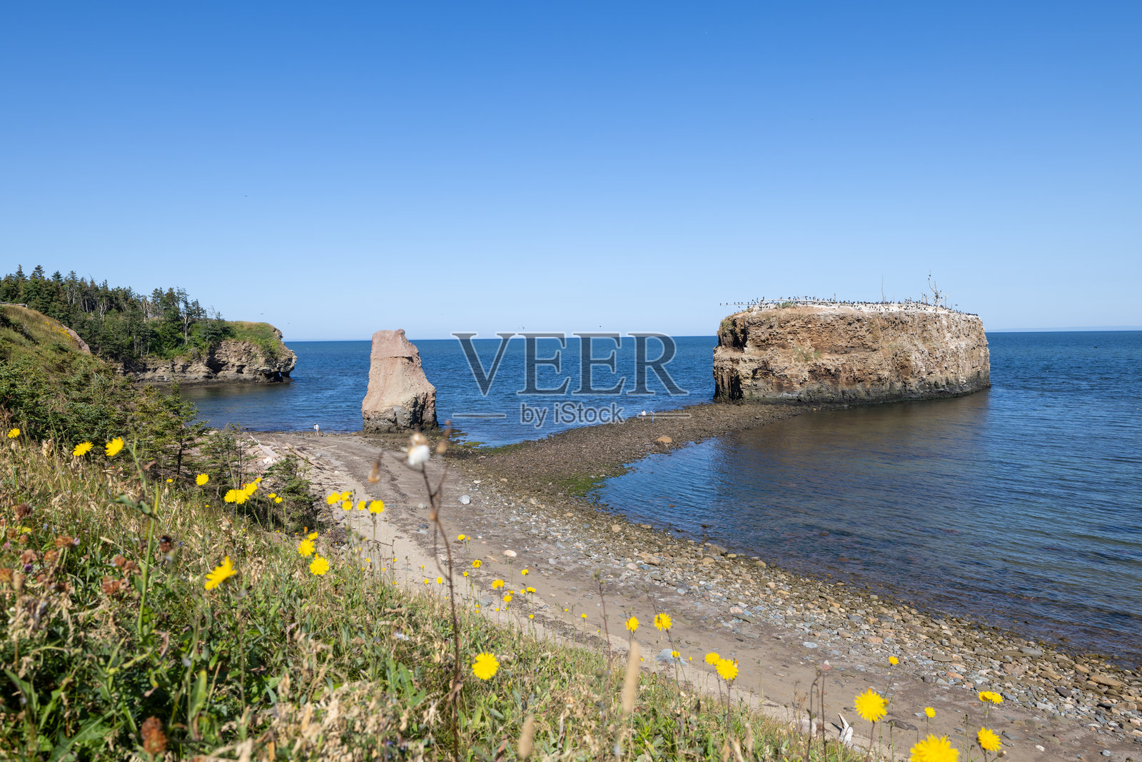 加拿大新不伦瑞克省波克肖省立公园的波克肖岩照片摄影图片