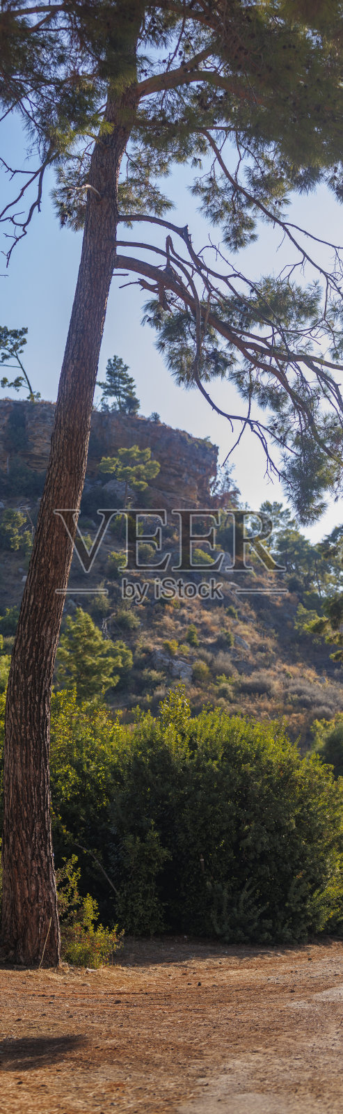 帕萨里斯古迹森林小路照片摄影图片