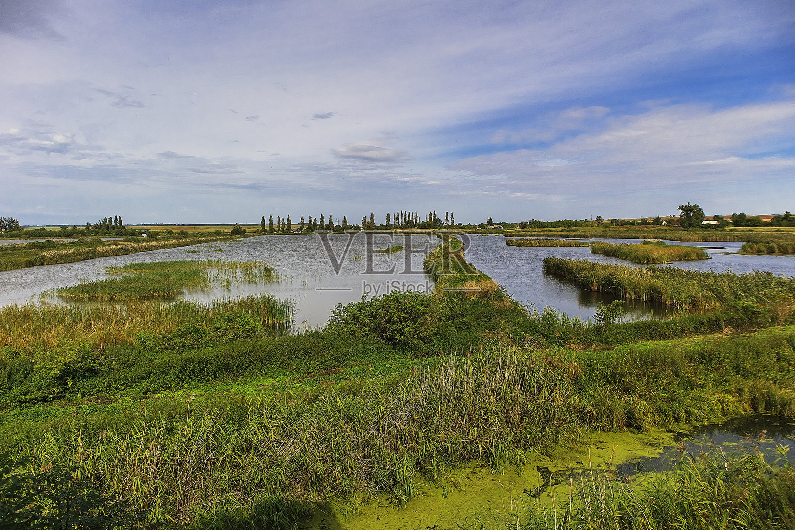 全景式展现了乡村湖区交织的湖泊、充满生机的翠绿植被以及清澈的夏日蓝天。照片摄影图片