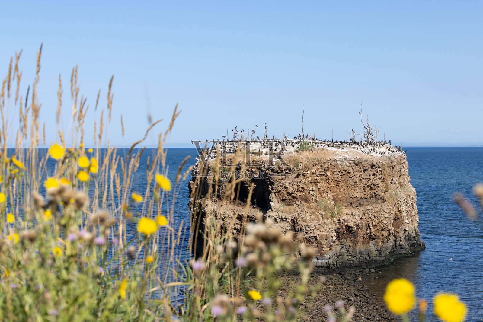 加拿大新不伦瑞克省波克肖省立公园的波克肖岩照片摄影图片