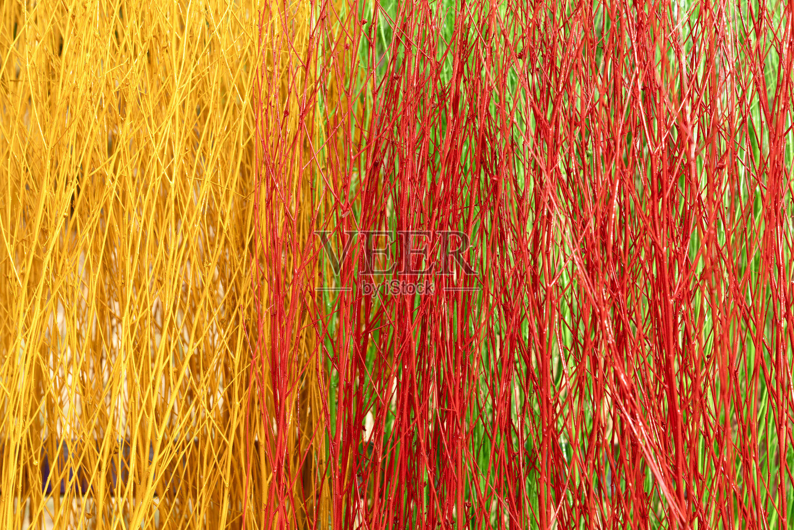 抽象背景,描绘了鲜艳的黄色、红色和绿色柳枝的绘画。密集垂直的枝条构成了色彩斑斓的纹理图案,非常适合家居装饰或园艺主题。照片摄影图片